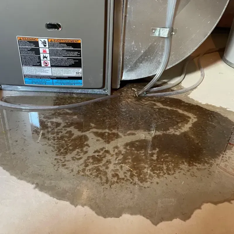 Appliance Leak Cleanup in Weatherby Lake, MO